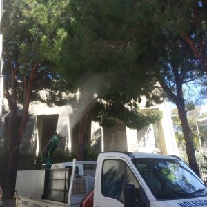 disinfestazione-4